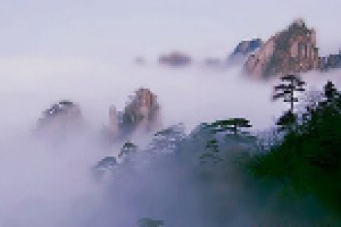 9001cc��ɳ�Գ�Ϊ��(�й�)���޹�˾����